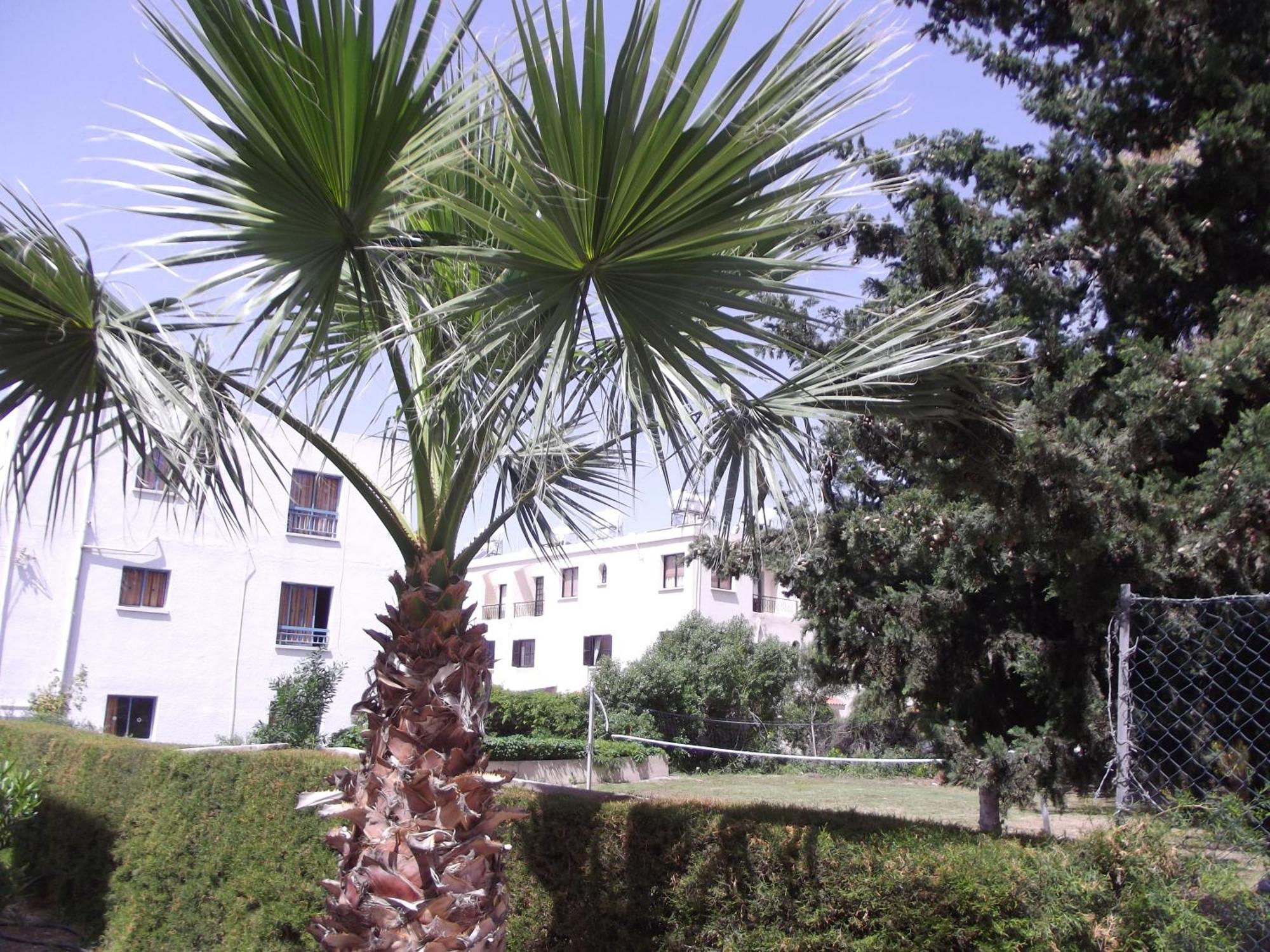 Kefalonitis Hotel Apartments Paphos Eksteriør billede