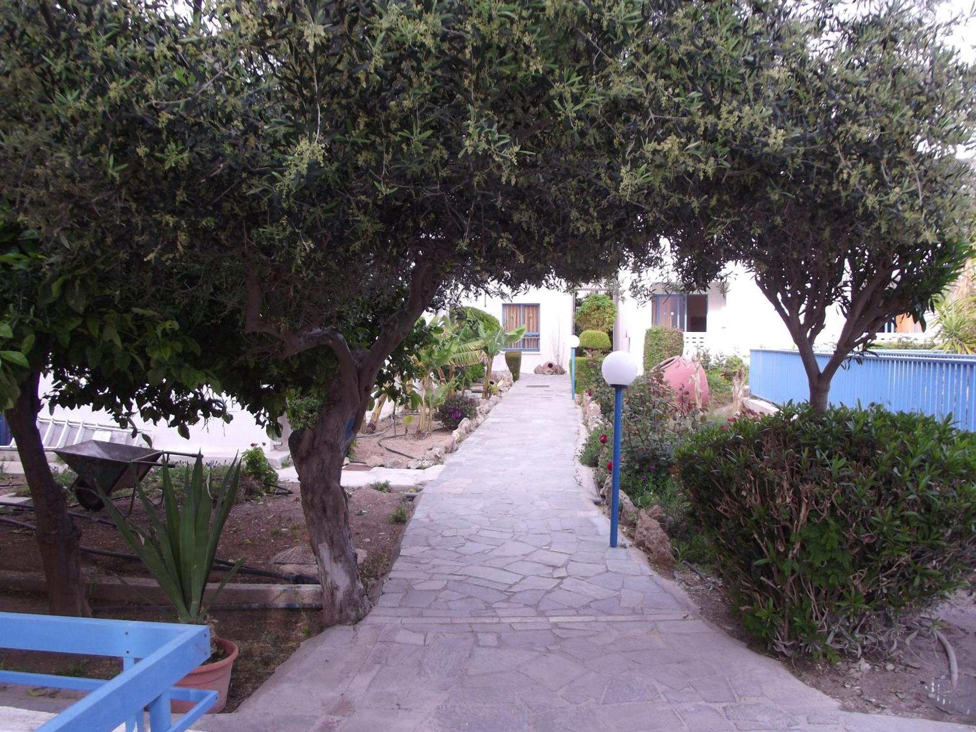 Kefalonitis Hotel Apartments Paphos Eksteriør billede