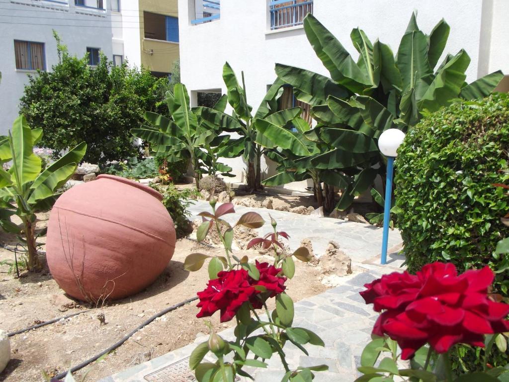 Kefalonitis Hotel Apartments Paphos Eksteriør billede