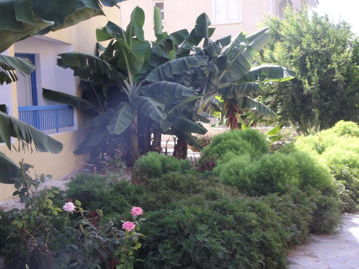 Kefalonitis Hotel Apartments Paphos Eksteriør billede