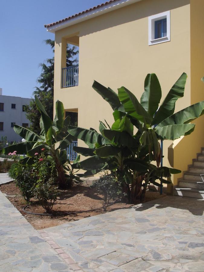 Kefalonitis Hotel Apartments Paphos Eksteriør billede